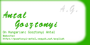 antal gosztonyi business card